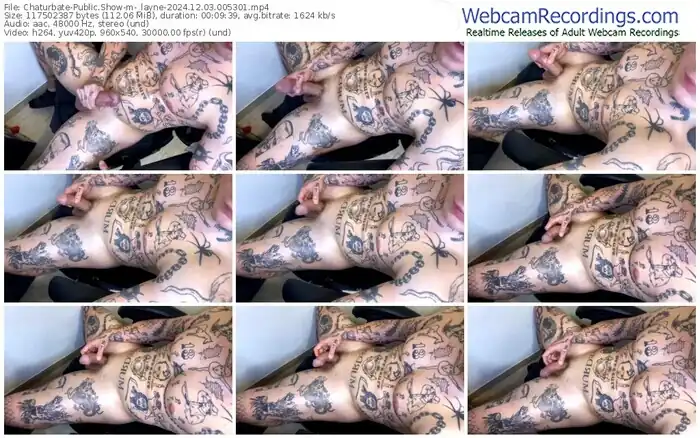 2024/12/03/chaturbate-_layne-00-53-01