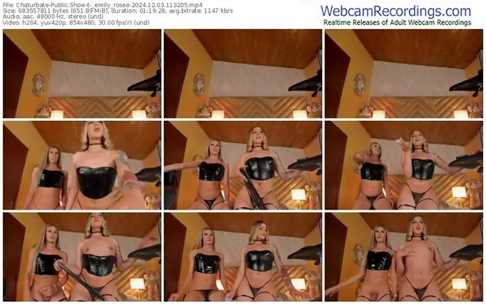 2024/12/03/chaturbate-_emily_rosee-11-32-05