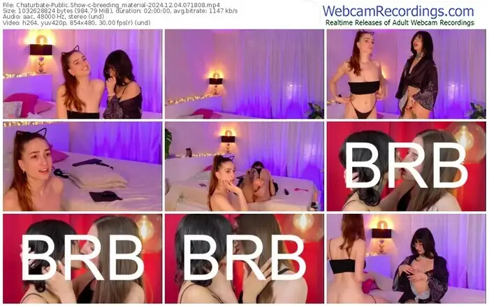 2024/12/04/chaturbate-breeding_material-07-18-08