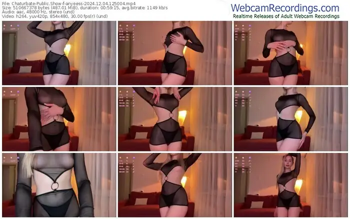 2024/12/04/chaturbate-anyeess-12-50-04