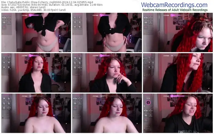 2024/12/04/chaturbate-cherry_night666-02-58-55