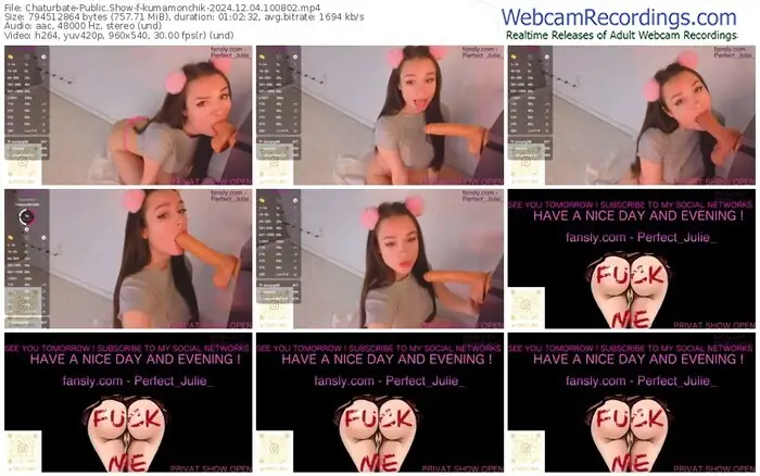 2024/12/04/chaturbate-kumamonchik-10-08-02