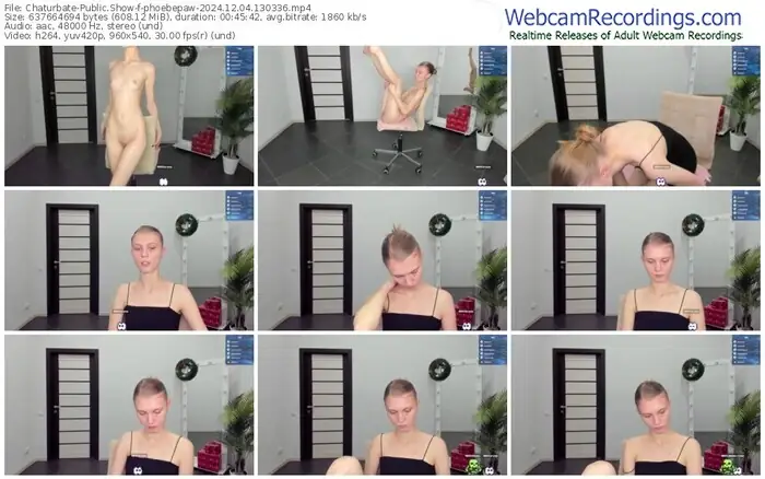 2024/12/04/chaturbate-phoebepaw-13-03-36