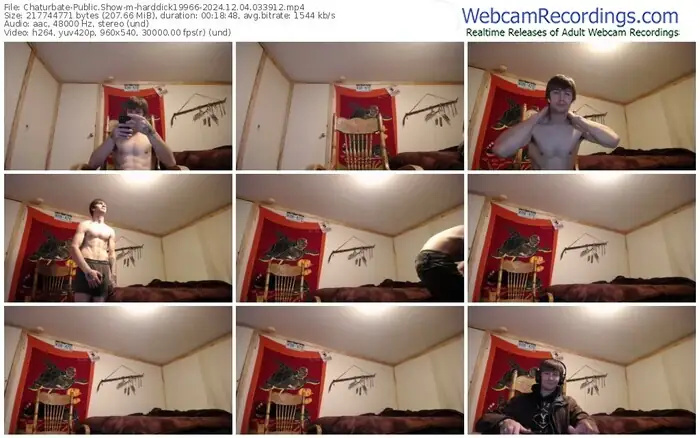 2024/12/04/chaturbate-harddick19966-03-39-12