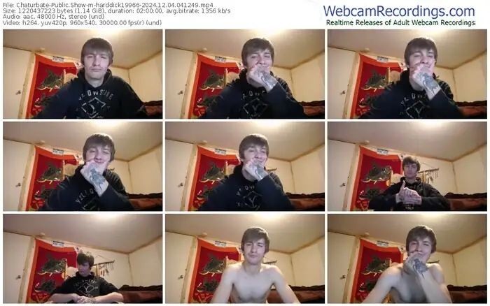 2024/12/04/chaturbate-harddick19966-04-12-49
