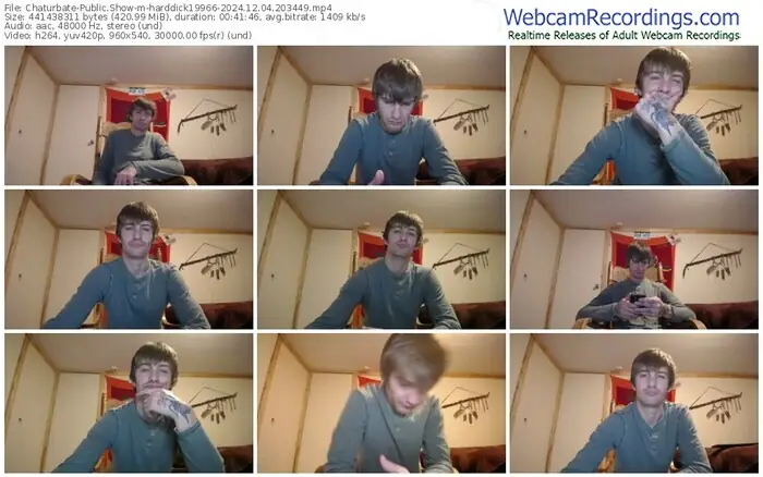 2024/12/04/chaturbate-harddick19966-20-34-49