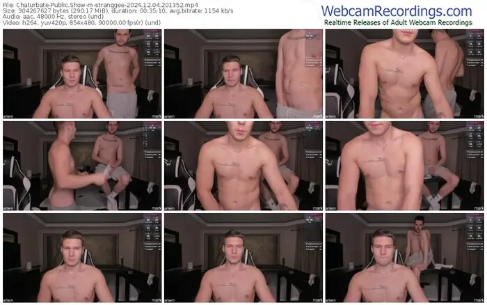 2024/12/04/chaturbate-stranggee-20-13-52