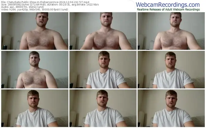 2024/12/04/chaturbate-thehairyprince-19-17-27