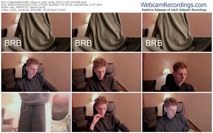2024/12/05/chaturbate-slim_andy-13-00-38
