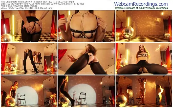2024/12/06/chaturbate-_meganmeow_-03-49-14