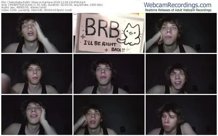 2024/12/06/chaturbate-harlova-19-14-58