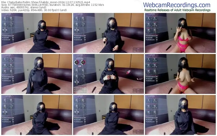 2024/12/07/chaturbate-habibi_moon-13-25-21