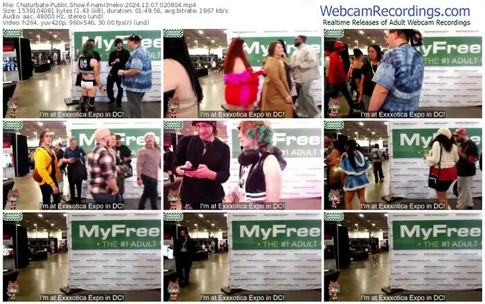 2024/12/07/chaturbate-nami3neko-02-08-04