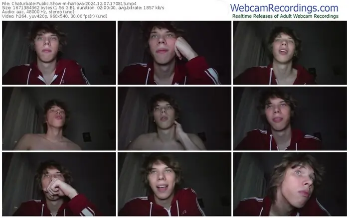 2024/12/07/chaturbate-harlova-17-08-15