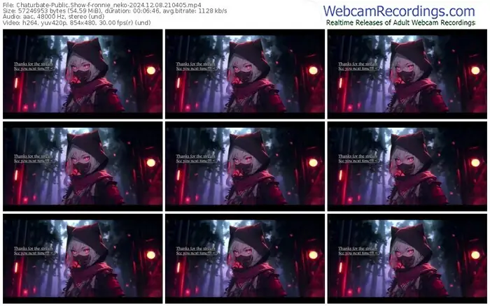 2024/12/08/chaturbate-ronnie_neko-21-04-05