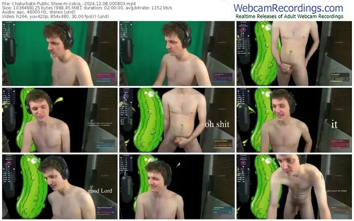 2024/12/08/chaturbate-cokia_-00-08-03