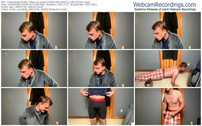 2024/12/08/chaturbate-ward123456789-07-55-01