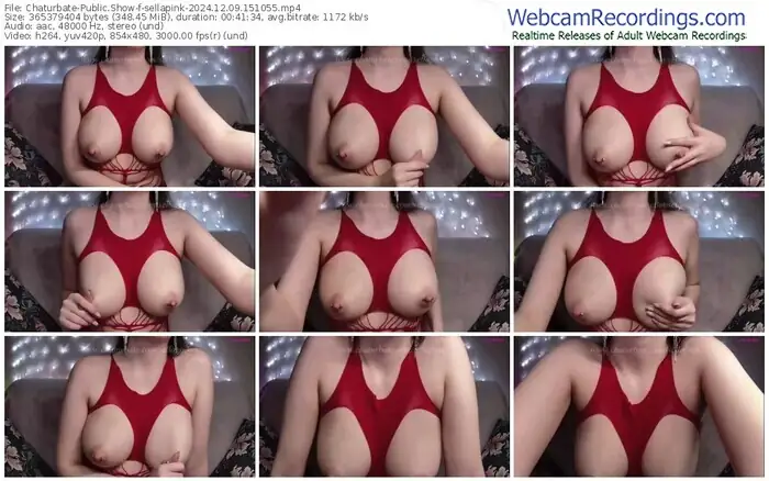 2024/12/09/chaturbate-sellapink-15-10-55