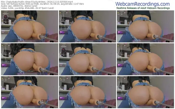 2024/12/10/chaturbate-luckystrikee_-02-55-00