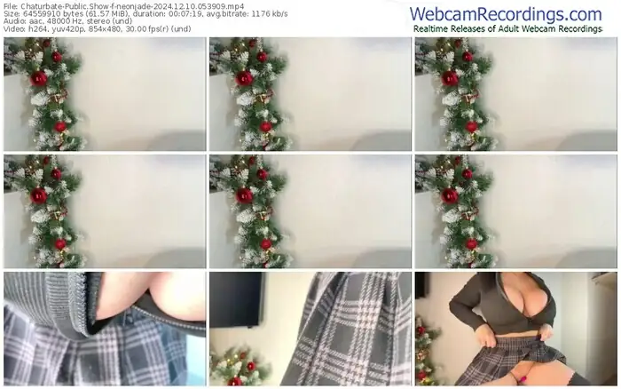 2024/12/10/chaturbate-neonjade-05-39-09