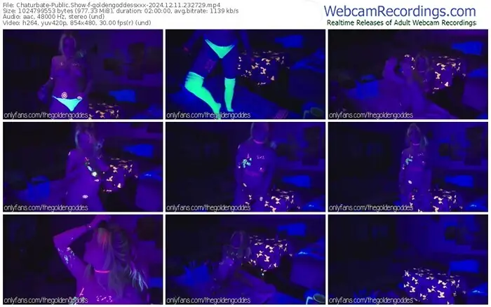 2024/12/11/chaturbate-goldengoddessxxx-23-27-29