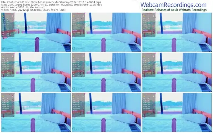 2024/12/11/chaturbate-massivecockfuckbunny-14-36-04