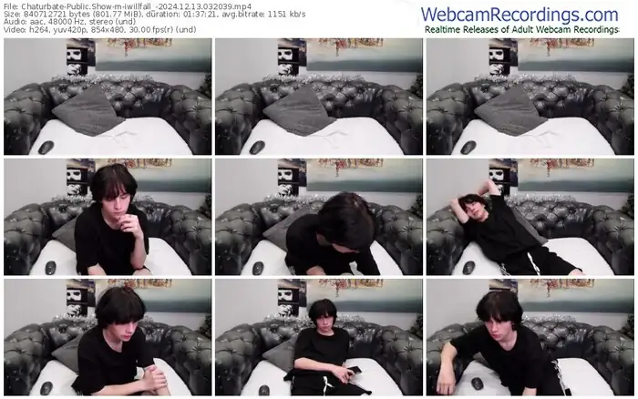 2024/12/13/chaturbate-iwillfall_-03-20-39
