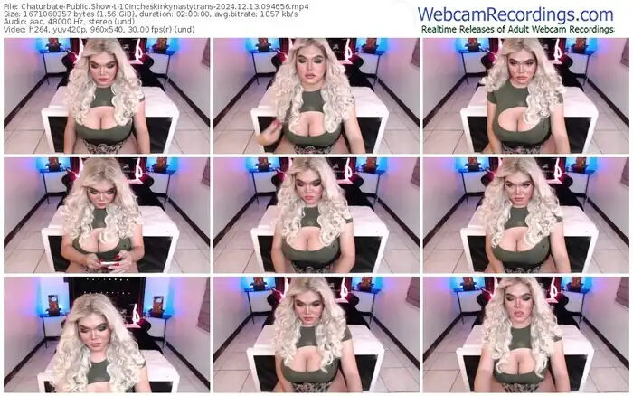 2024/12/13/chaturbate-10incheskinkynastytrans-09-46-56
