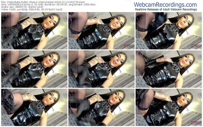 2024/12/13/chaturbate-cherryharper-04-27-39