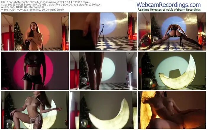 2024/12/14/chaturbate-_meganmeow_-03-09-12
