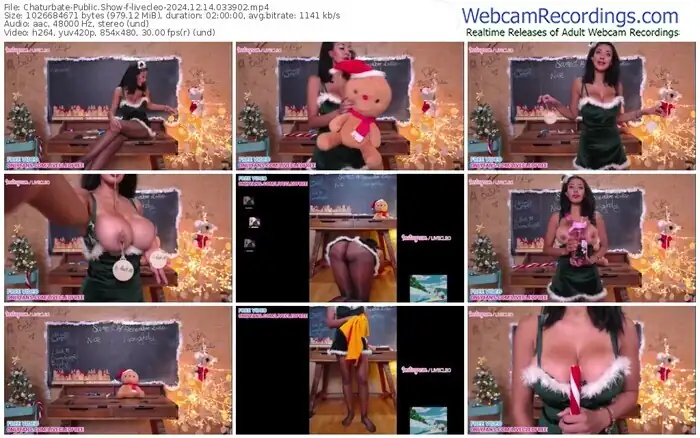 2024/12/14/chaturbate-livecleo-03-39-02