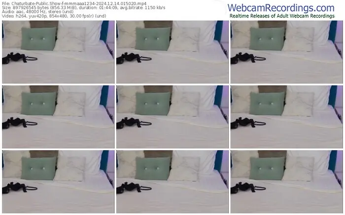 2024/12/14/chaturbate-mmmaaa1234-01-50-20