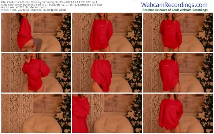 2024/12/14/chaturbate-yourmidnightcoffee-22-19-27