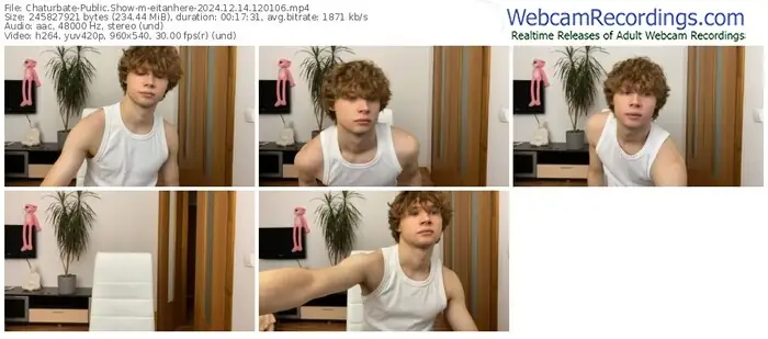 2024/12/14/chaturbate-eitanhere-12-01-06