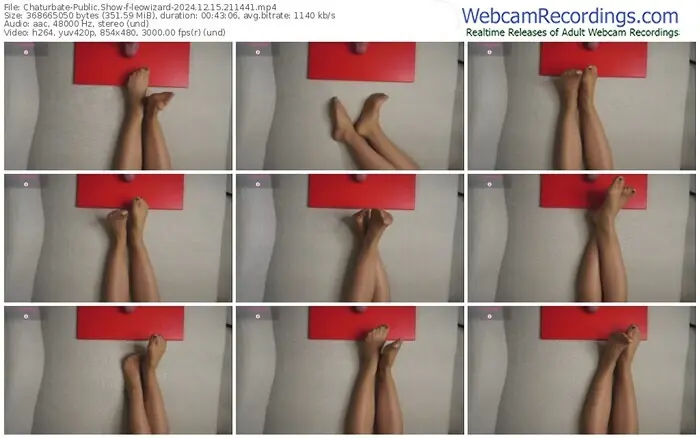 2024/12/15/chaturbate-leowizard-21-14-41