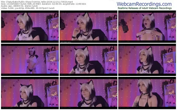 2024/12/15/chaturbate-ronnie_neko-17-00-20