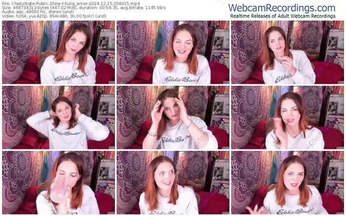 2024/12/15/chaturbate-tulia_anise-05-49-15