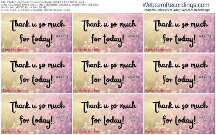 2024/12/16/chaturbate-delitevip-17-04-31