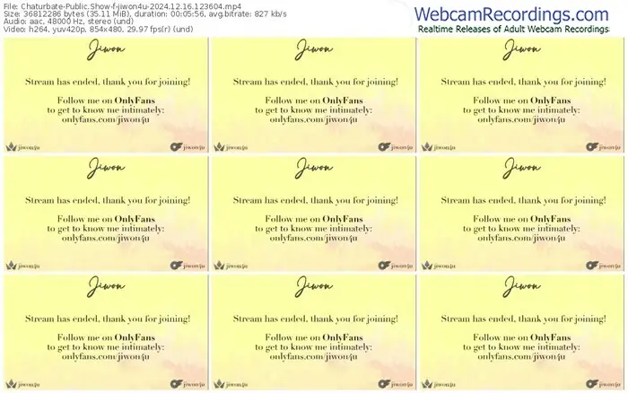 2024/12/16/chaturbate-jiwon4u-12-36-04