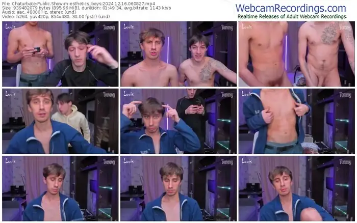 2024/12/16/chaturbate-esthetics_boys-06-08-27