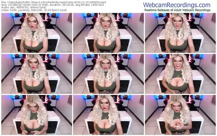 2024/12/16/chaturbate-10incheskinkynastytrans-09-56-50