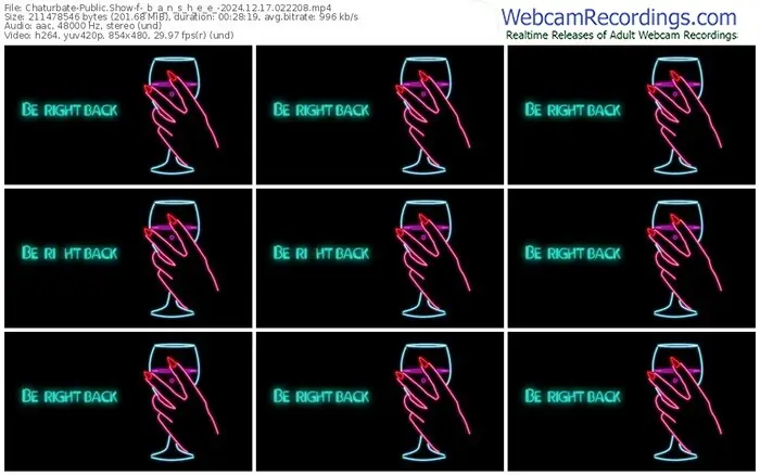 2024/12/17/chaturbate-_b_a_n_s_h_e_e_-02-22-08