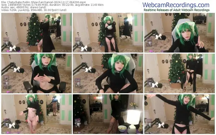 2024/12/17/chaturbate-archancel-06-42-30