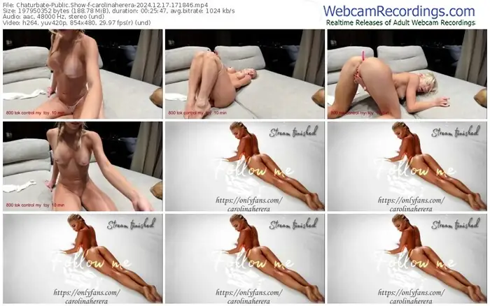 2024/12/17/chaturbate-carolinaherera-17-18-46