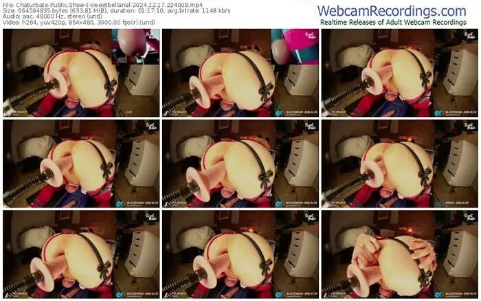 2024/12/17/chaturbate-sweetbellanal-22-40-08