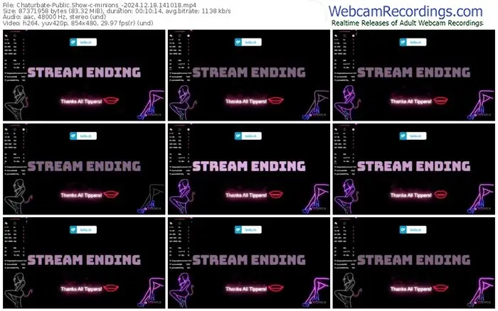 2024/12/18/chaturbate-minions_-14-10-18