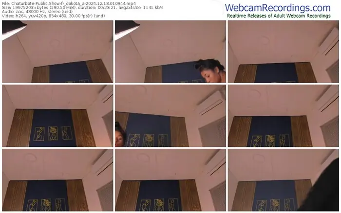 2024/12/18/chaturbate-_dakota_a-01-09-44