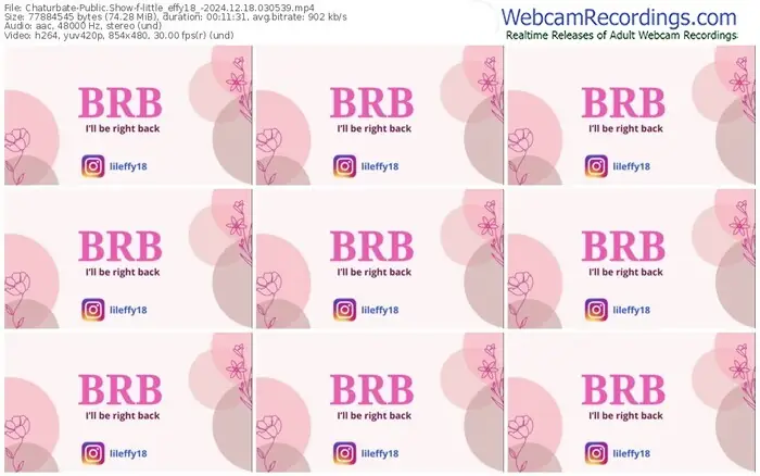 2024/12/18/chaturbate-little_effy18_-03-05-39