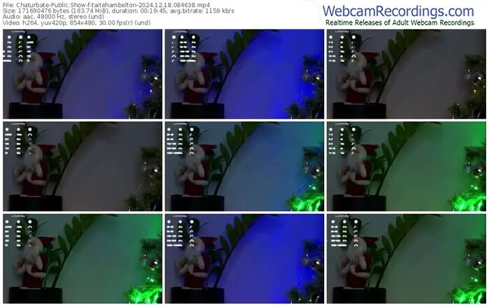 2024/12/18/chaturbate-taitehambelton-08-46-38
