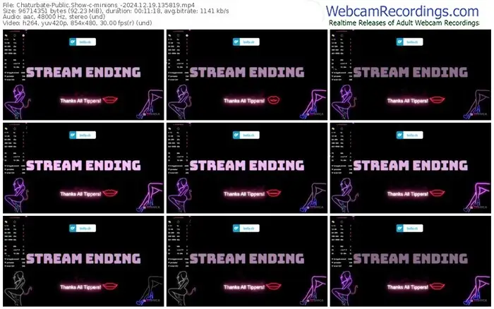 2024/12/19/chaturbate-minions_-13-58-19